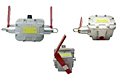 Explosion Proof Switches